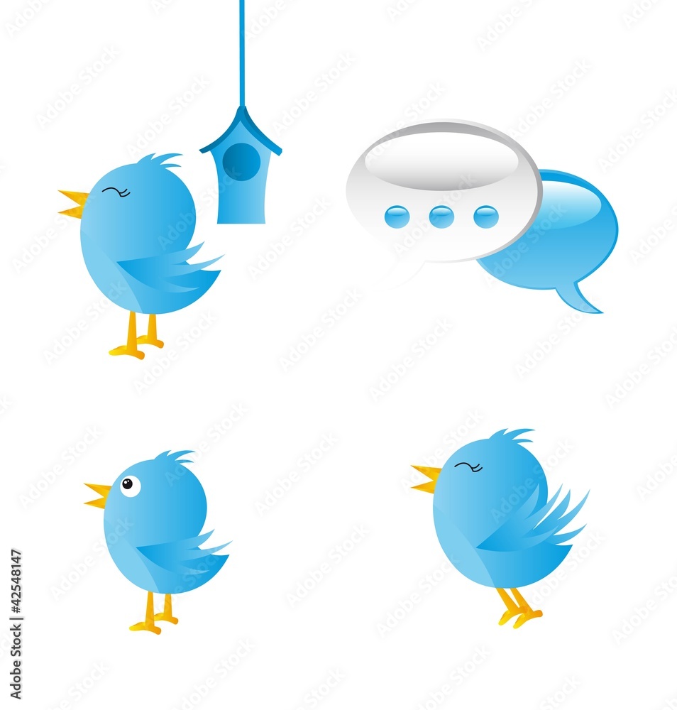 blue birds blue birds