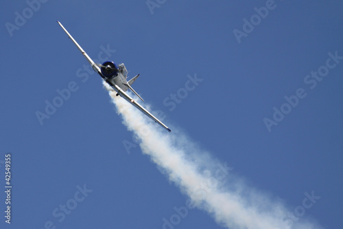 Flugzeug auf Flugshow photo