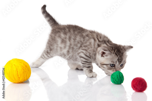 kitten with balls of threads. little kitten on white background. © EwaStudio