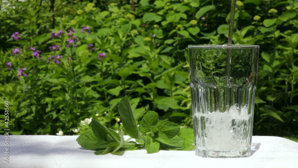 Pouring water into a glass in a summer garden Pouring water into a glass in a summer garden