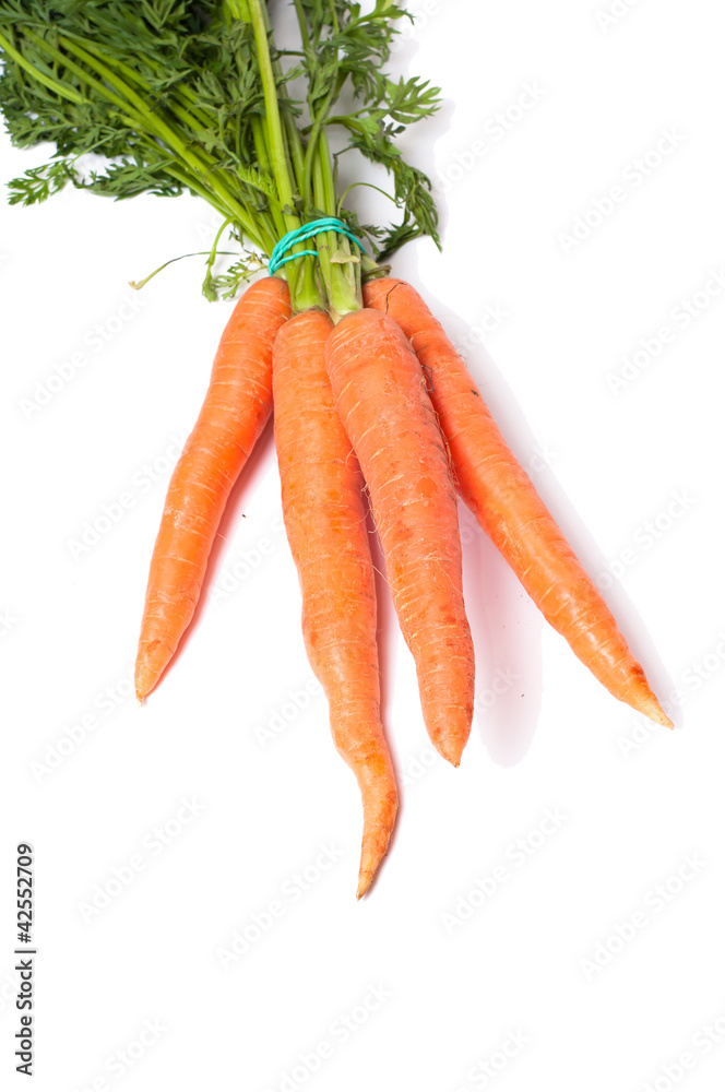 carrot on white