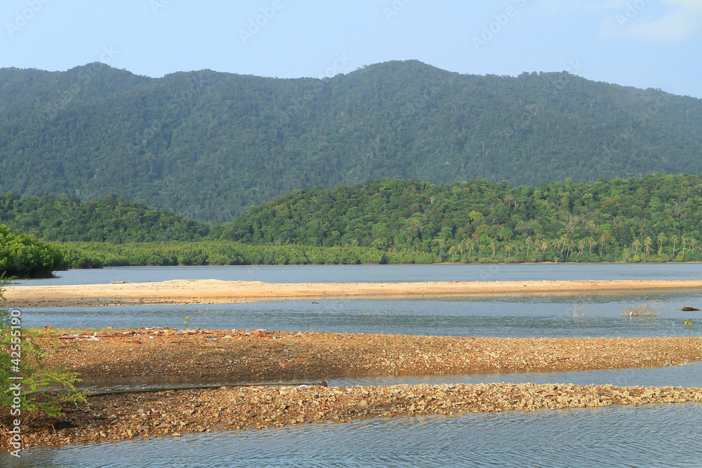 tropical beach with mangrove tree in southern of Thailand .