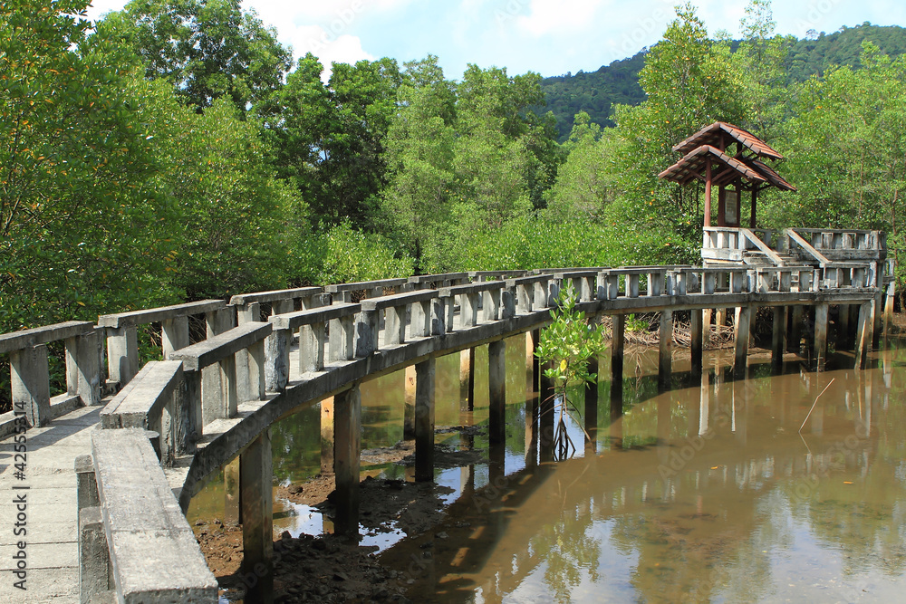 Concrete bridge go to mangrove forest . Concrete bridge go to mangrove forest .