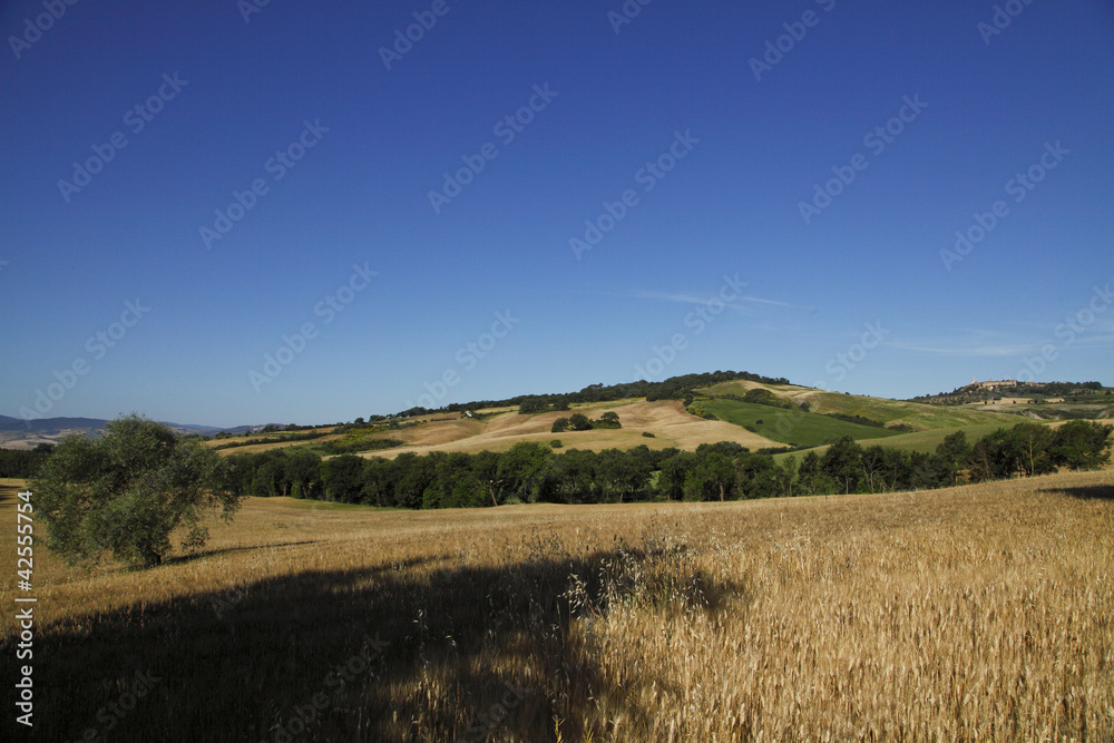 Obraz premium Siena, Val d'Orcia