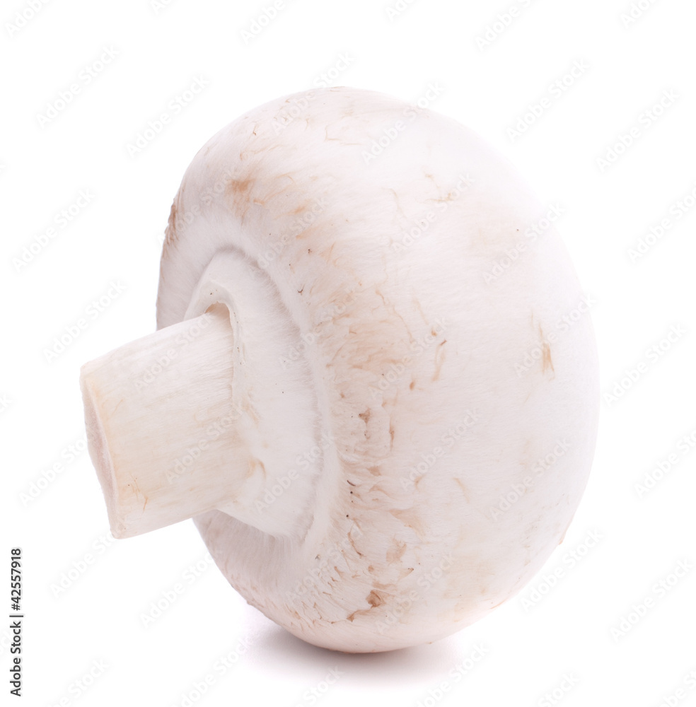 Fototapeta premium Champignon mushroom