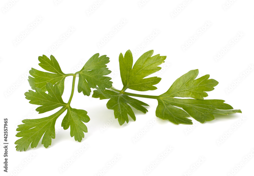 parsley parsley