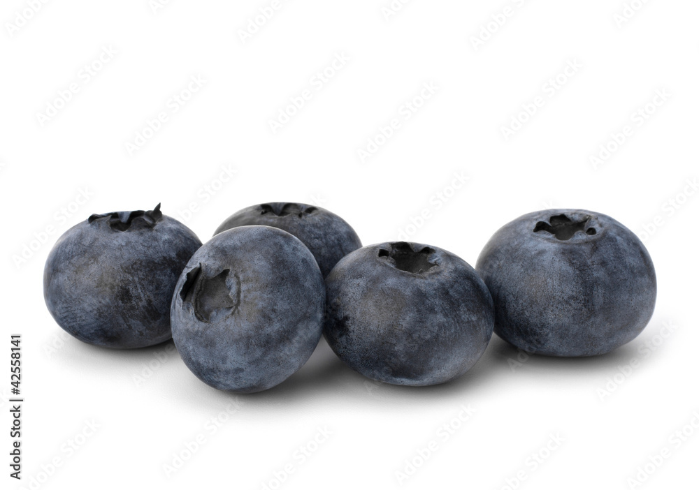 Bilberries or whortleberries cutout Bilberries or whortleberries cutout