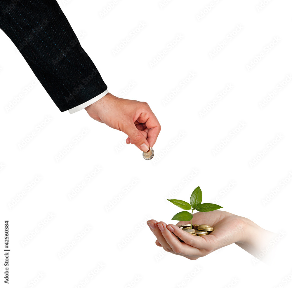 Palms with a tree growng from pile of coins