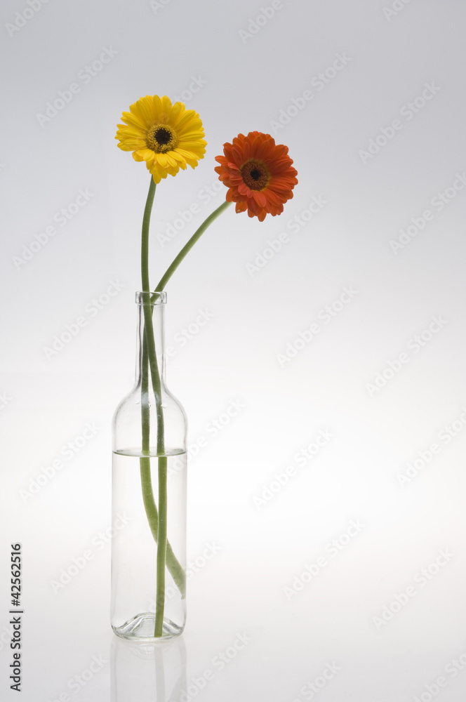 Obraz premium Blumen mit Vase