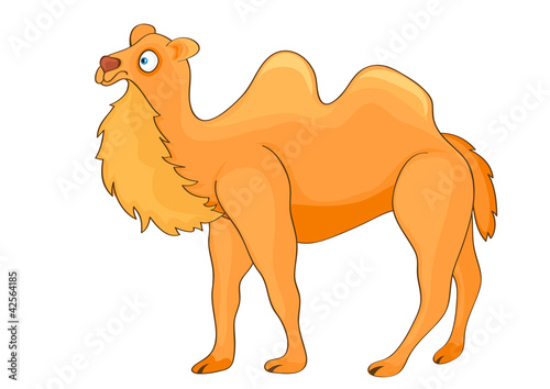 Cartoon Camel.
