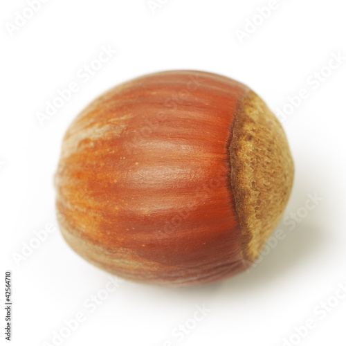 Nut isolated
