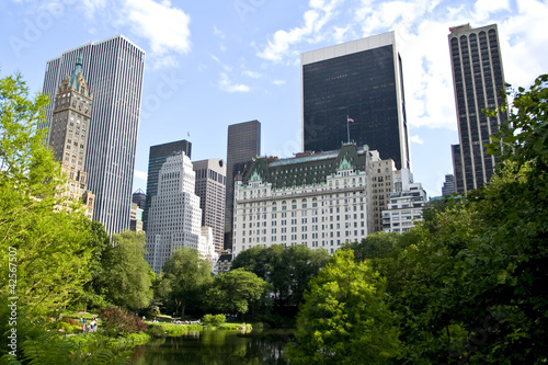 New York buildings from Central park © carol_anne
