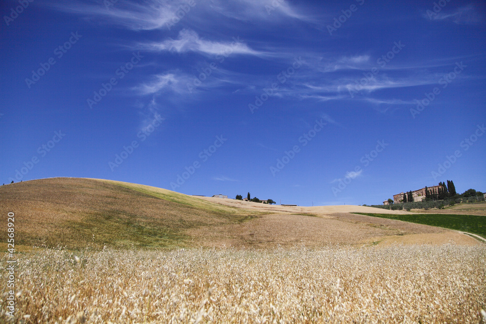 Obraz premium Siena, Val d'Orcia