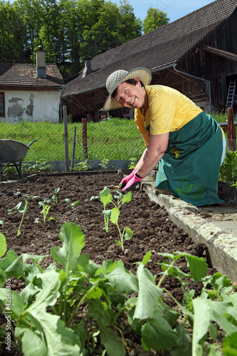 Grandmother planting vegetables
