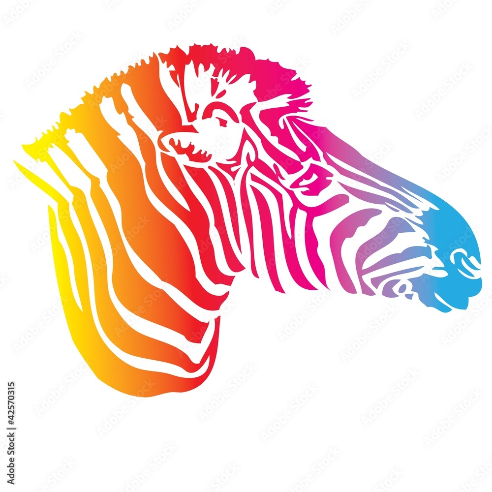 vector - zebra color texture - obrazy, fototapety, plakaty 