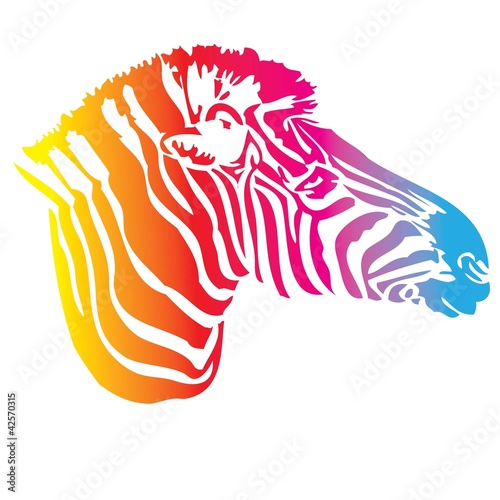 vector - zebra color texture