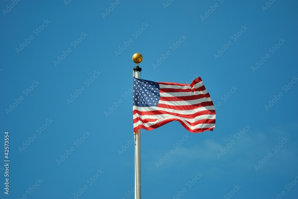 Bandiera degli Stati Uniti d'America Bandiera degli Stati Uniti d'America