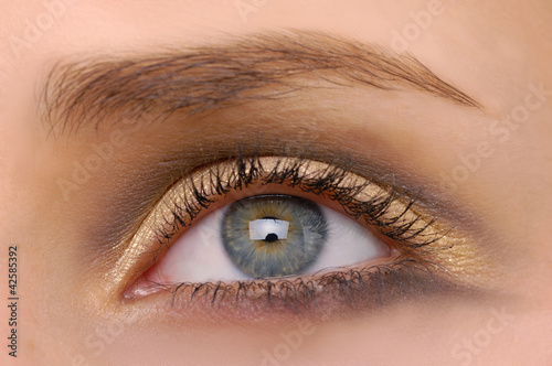 macro beautiful female eye