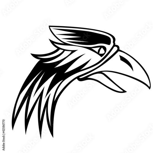 eagle isolated on white background black and white sign.