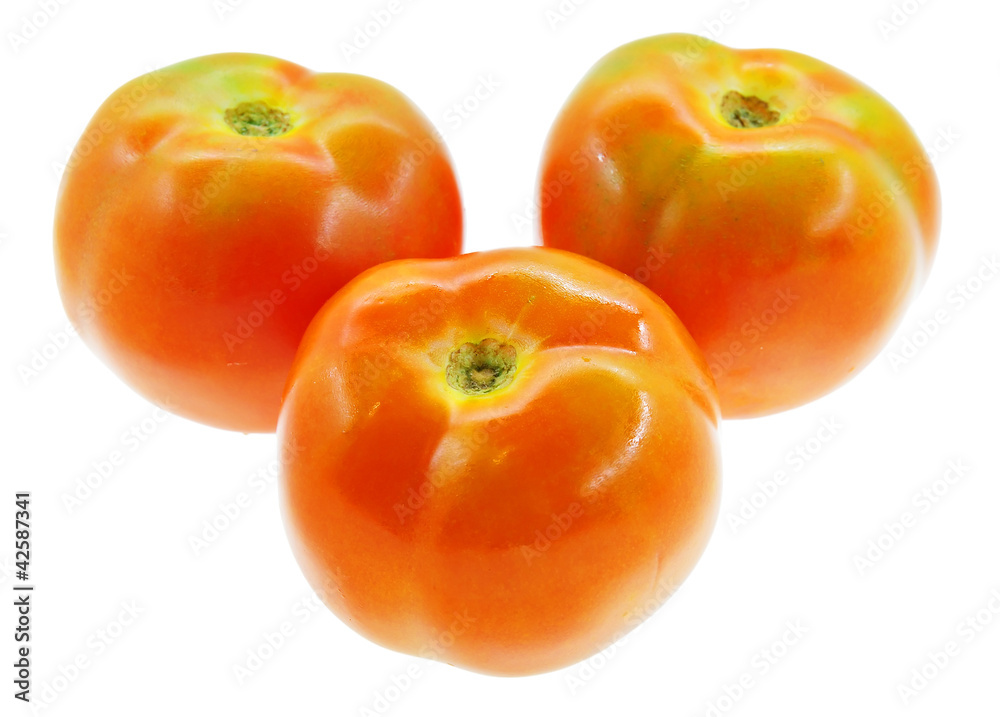 Fresh tomato Fresh tomato