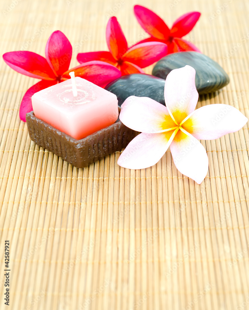 plumeria flower arrangement plumeria flower arrangement