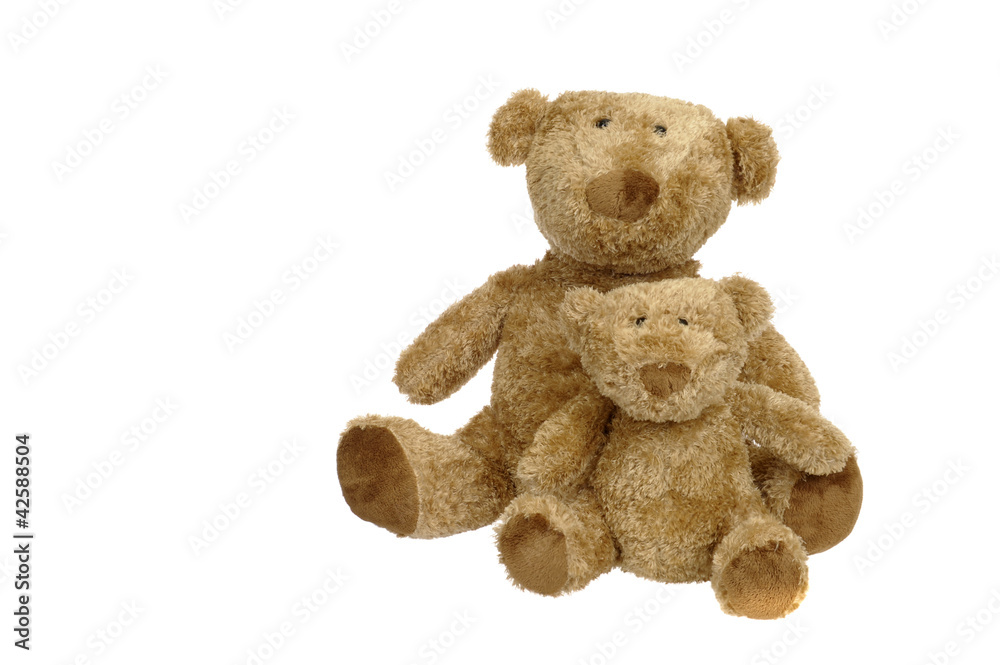 Obraz premium two vintage teddy bear