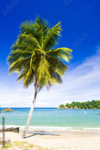 Parlatuvier Bay, Tobago photo