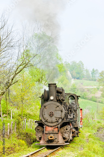 narrow gauge railway, Banovici, Bosnia and Hercegovina photo