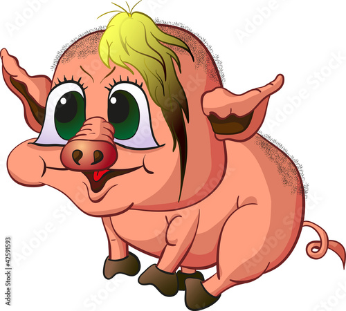 pig