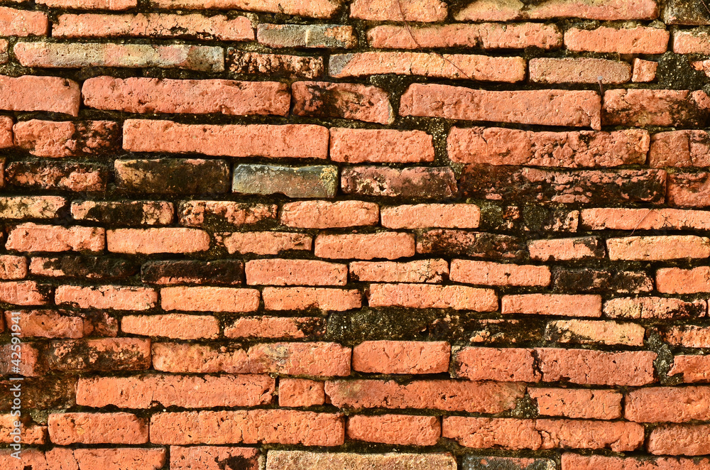 Obraz premium ancient brick wall