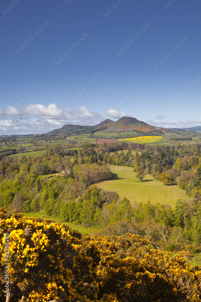 Obraz premium Scott's View in the Scottish Borders