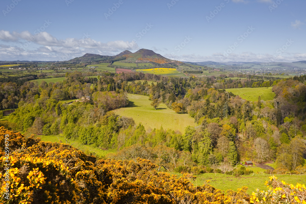 Scott's View in the Scottish Borders