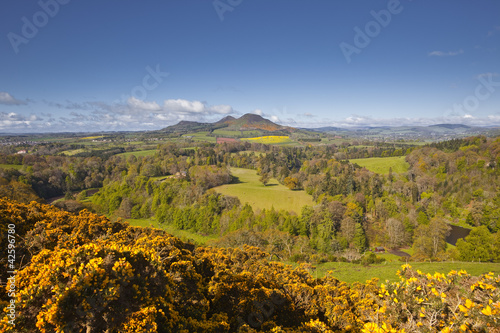 Принти на полотні Scott's View in the Scottish Borders