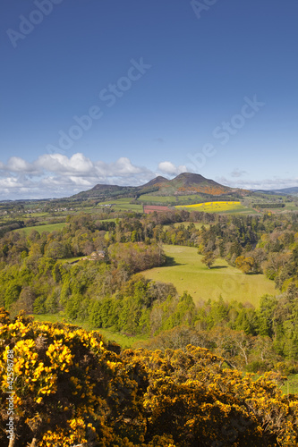 Scott's View in the Scottish Borders