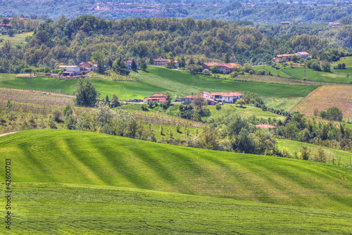 Hills and meadows of Piedmont. Northern Italy.