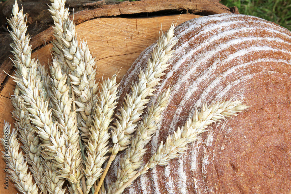 Brot und Ähren Stock-Foto | Adobe Stock