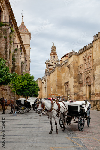 Coche de caballos junto a la Mezquita de Córdoba