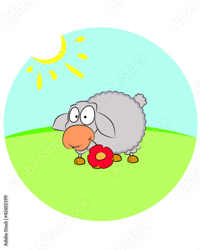 Sheep