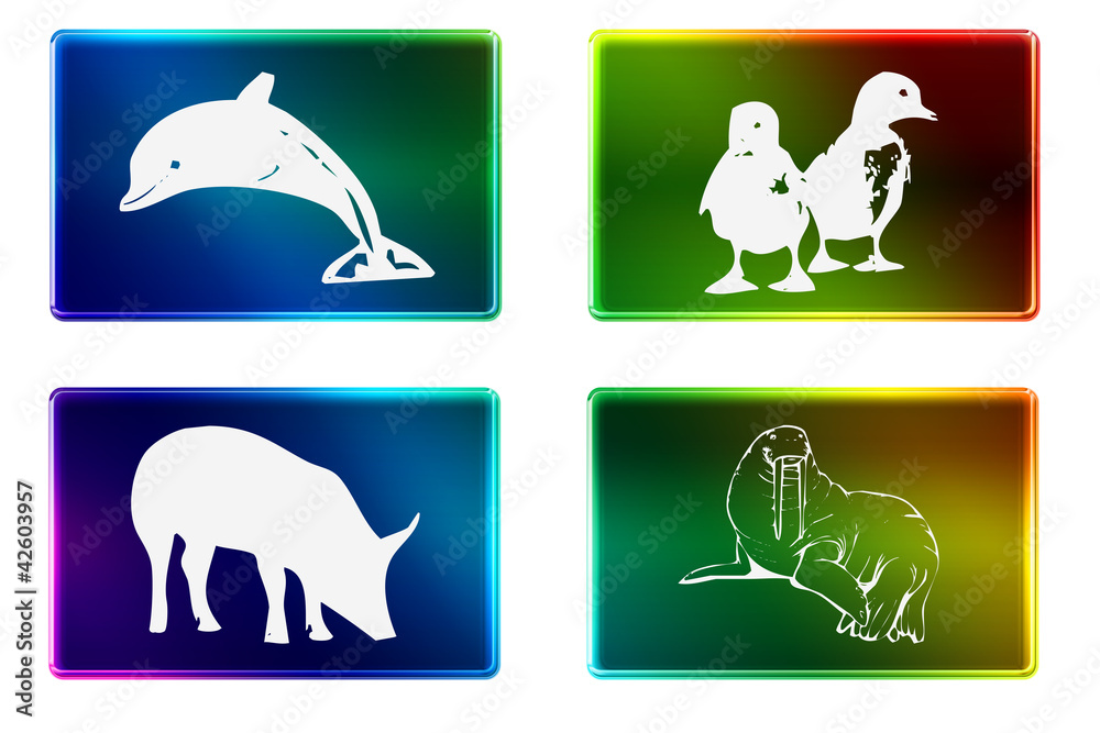 Fototapeta premium Rectangulo imagenes animales