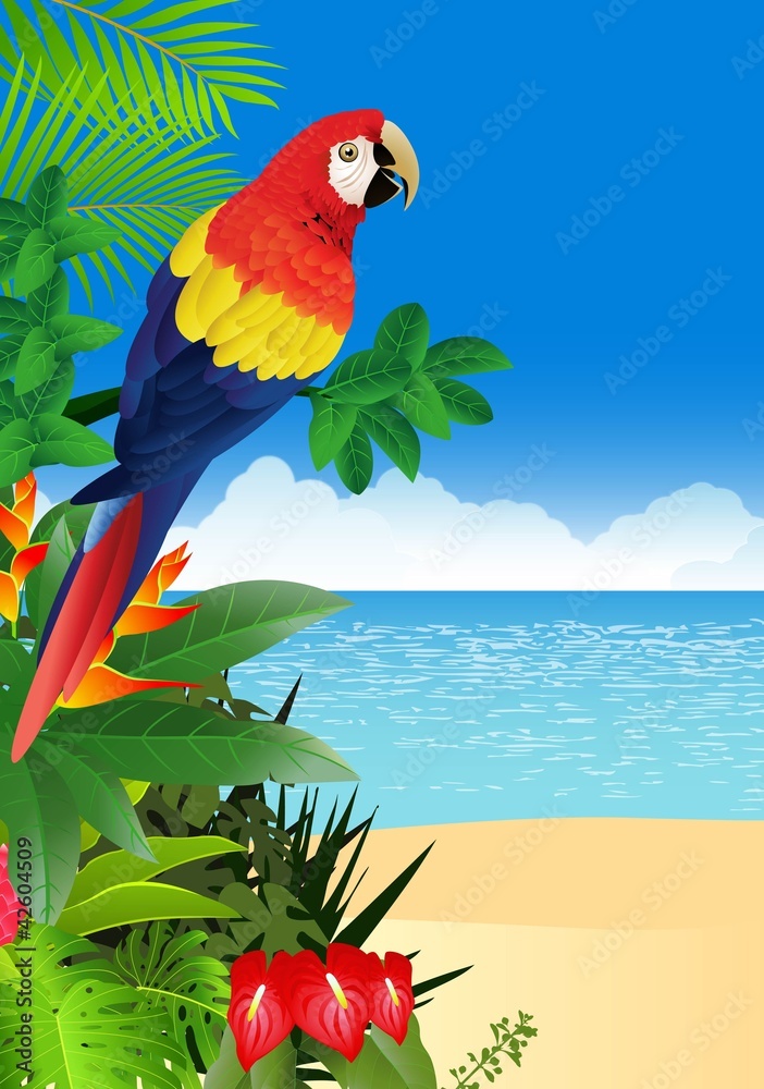Fototapeta premium Ara z tropikalnym plażowym tłem