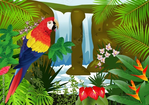 Macaw bird with waterfall background