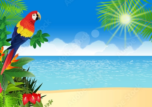Macaw with tropical beach background