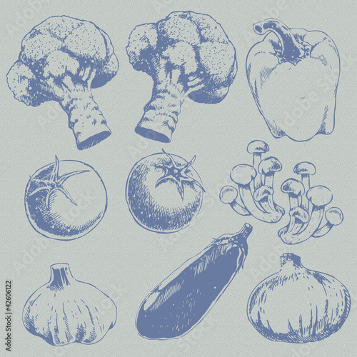 food and vegetables sketch background retro