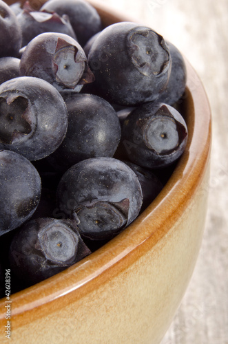 freshly picked blueberries in a bowl