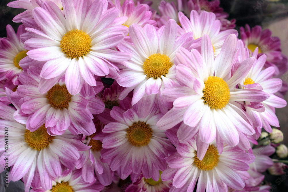 Floriculture Floriculture