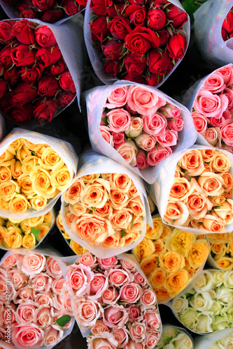 Colored roses - Top view