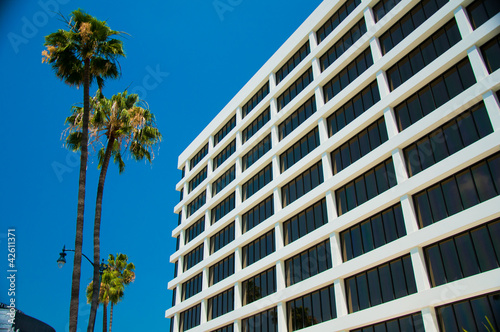 Palm trees and modern architecture