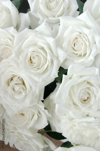 White roses