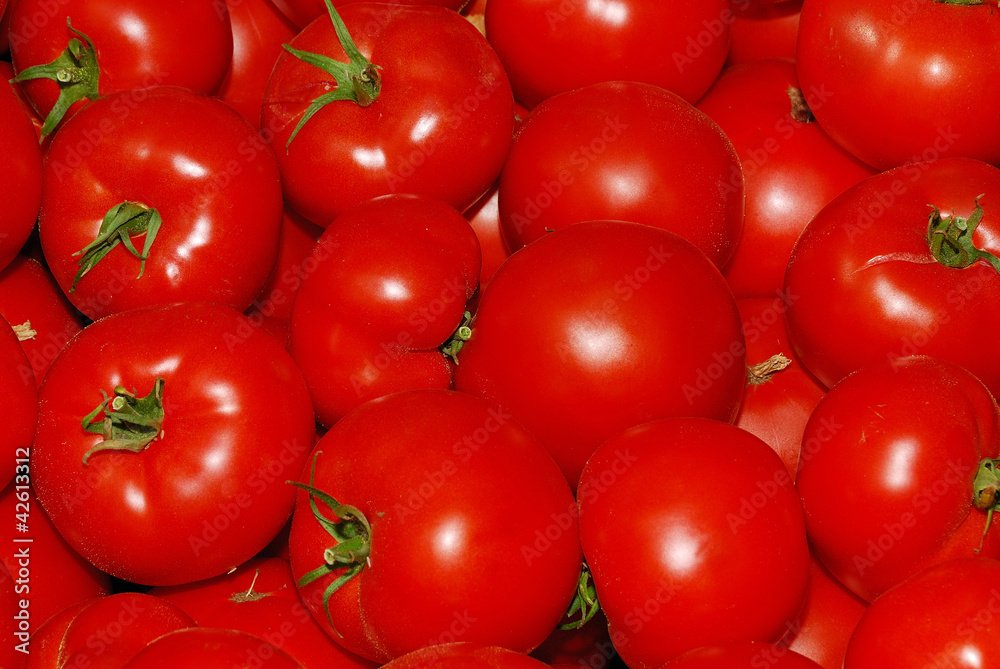 Farmers Market Farmers Market