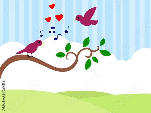 beautiful birds in love